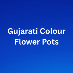 Gujarati Colour Flower Pots